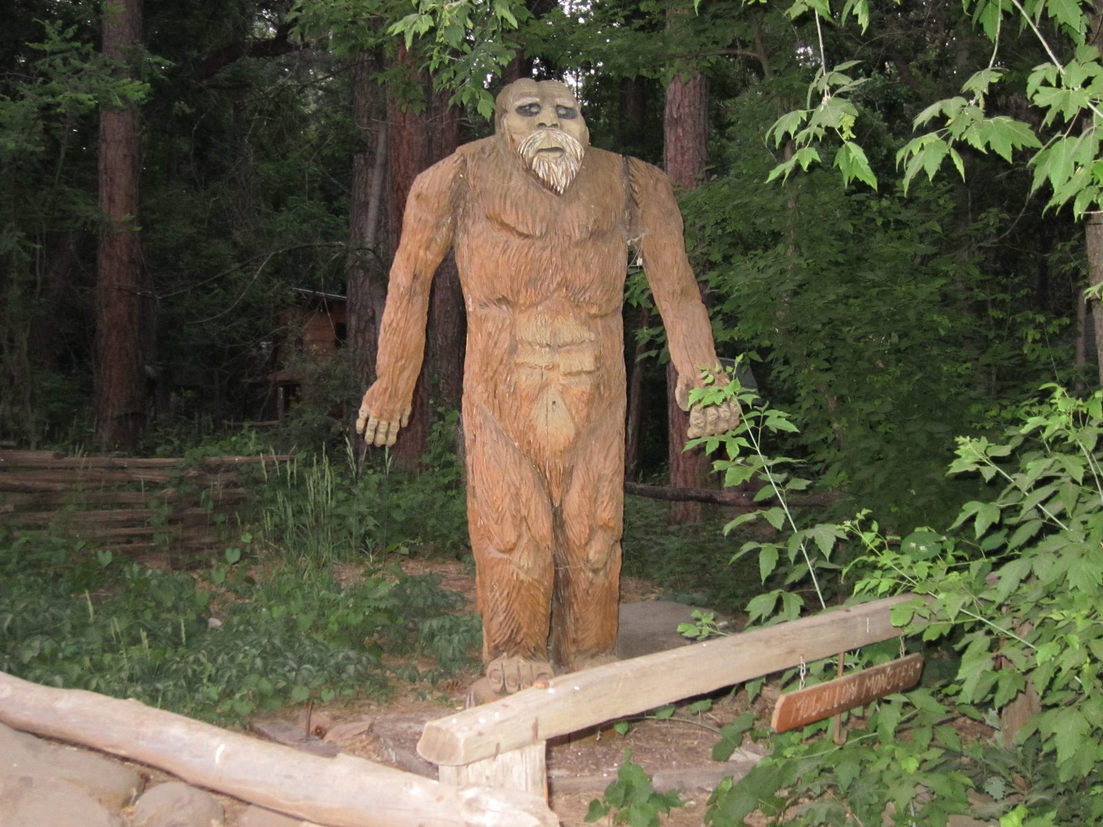 One of the inhabitants at CCL.  There were several clever wood carvings around the property ......
